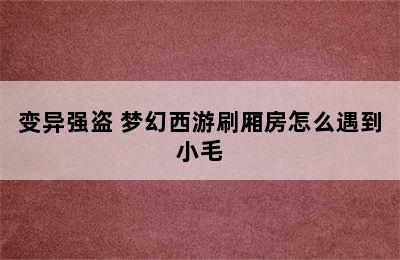 变异强盗 梦幻西游刷厢房怎么遇到小毛